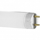Лампа люминесцентная FT8-10W/54 (6500K Daylight) /10 Ватт "Camelion"