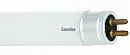 Лампа люмин FT5-21W/33 (4200K Cool light) /21 Ватт Camelion